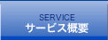 SERVICE T[rXTv