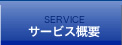 SERVICE T[rXTv