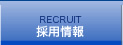 RECRUIT ̗p