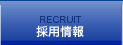 RECRUIT ̗p